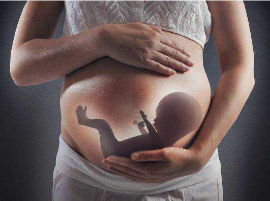 郑州供卵·喜宝助孕中心地址,美国试管婴儿专家：精子在体外能存活多久？_孕
