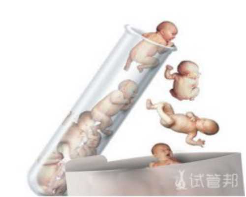 供卵排上队了还需要什么,试管婴儿移植两个胚胎就能怀上双胞胎了吗？_上海供