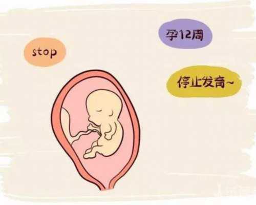 供卵需要多久时间,台州供卵试管群,台州2022供卵生男孩费用明细
