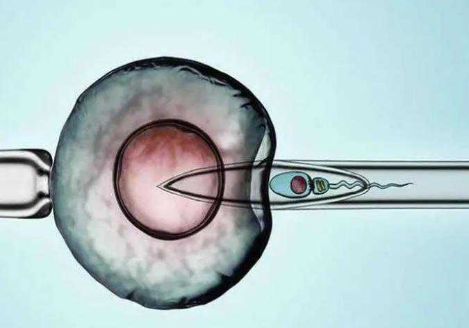 试管好供卵嘛女性,2023内蒙古供卵试管医院,内蒙古协和医院可以做供卵试管婴儿