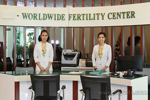 供卵什么价格_45做借卵试管成功率_泰国全球生殖医院试管婴儿费用多少钱