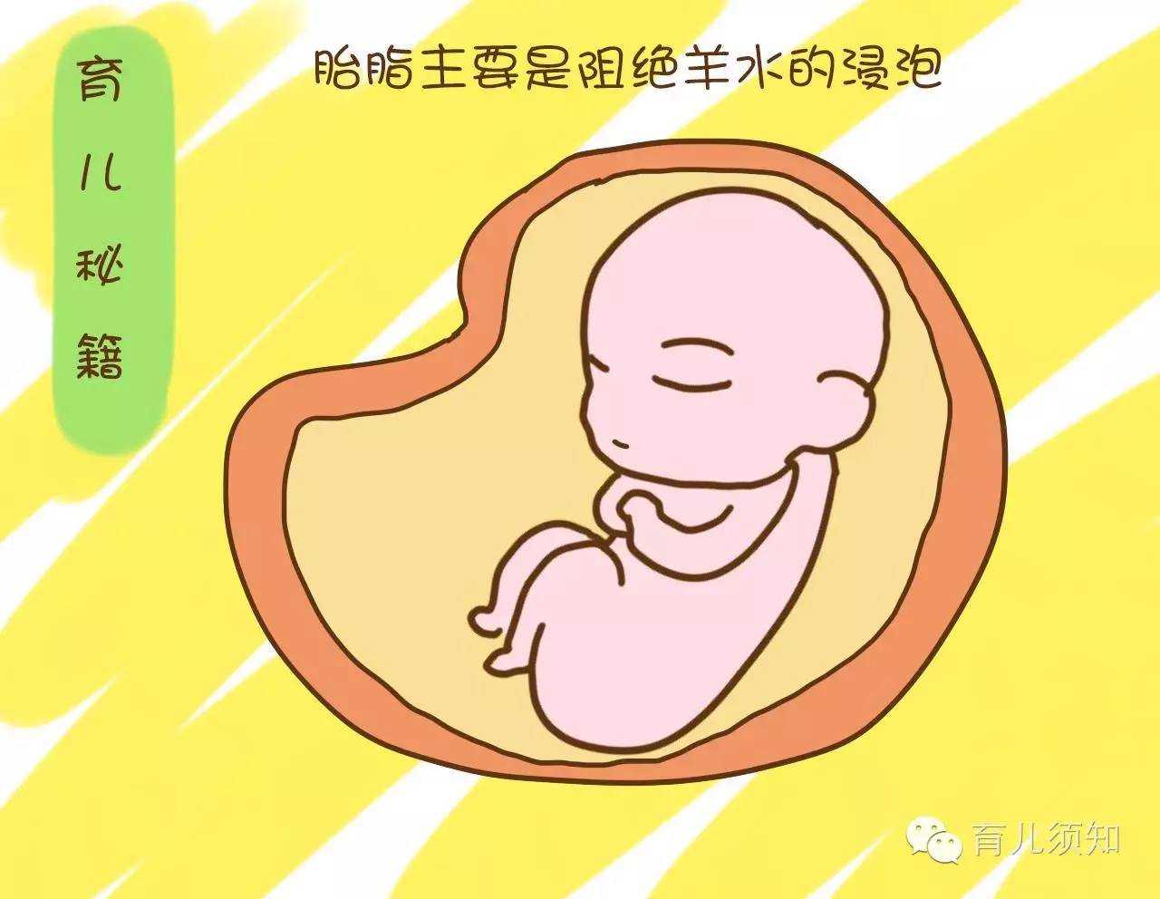 常德代孕产子公司代孕过程_常德代孕中心费用_泰国试管婴儿之路求子最终成功