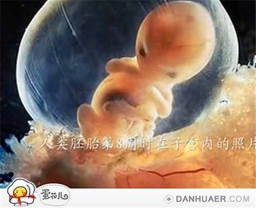 南昌最低价格代孕_南昌哪家代孕好_鲜胚移植孕周期怎么算试管婴儿怎么计算孕