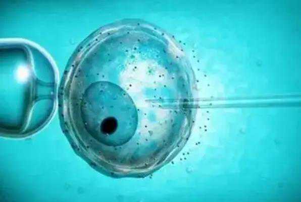 泰州供卵代孕生男孩 泰州试管婴儿成功案例 ‘25周四维女宝翻盘实例’
