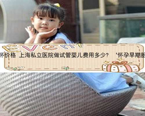 上海试管代怀代怀价格 上海私立医院做试管婴儿费用多少? ‘怀孕早期胎囊怎么