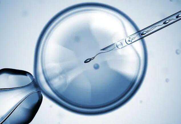 供卵试管移植几个胚胎|甘肃二代试管婴儿费用,甘肃第二附属医院可以用别人的