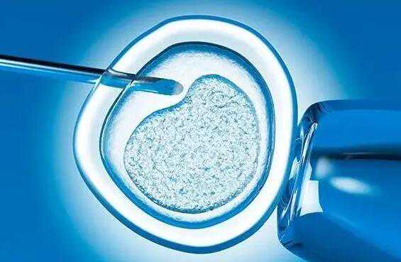 哪里做供卵试管较好的医院|2023
年安徽大学第一附属医院做三代试管供卵生男孩